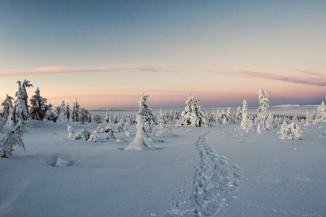 Lapland Dream Villas Rauhala Экстерьер фото
